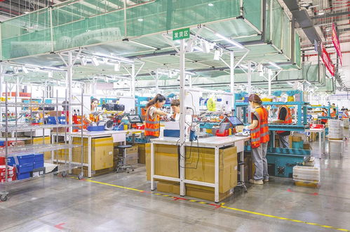 守護國門安全，賦能經濟發展 中國海關監管貨物進出口27億噸、征稅超萬億