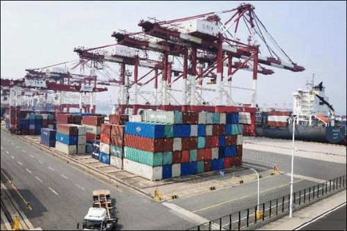 2024年2月貨物進出口6.2%增長解析